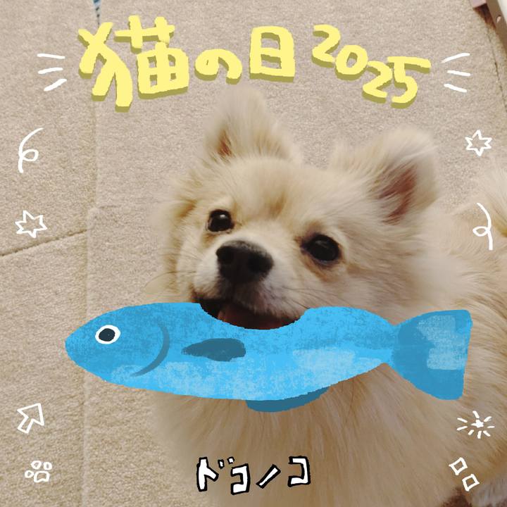 Fd93f720 975d 47c3 8238 7592b10c1092 1740181677998