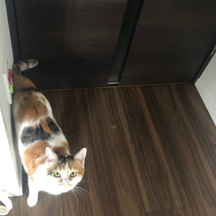 Fd93fd5f 9c4f 4e86 97bf d6d0f670b183 1589326346434