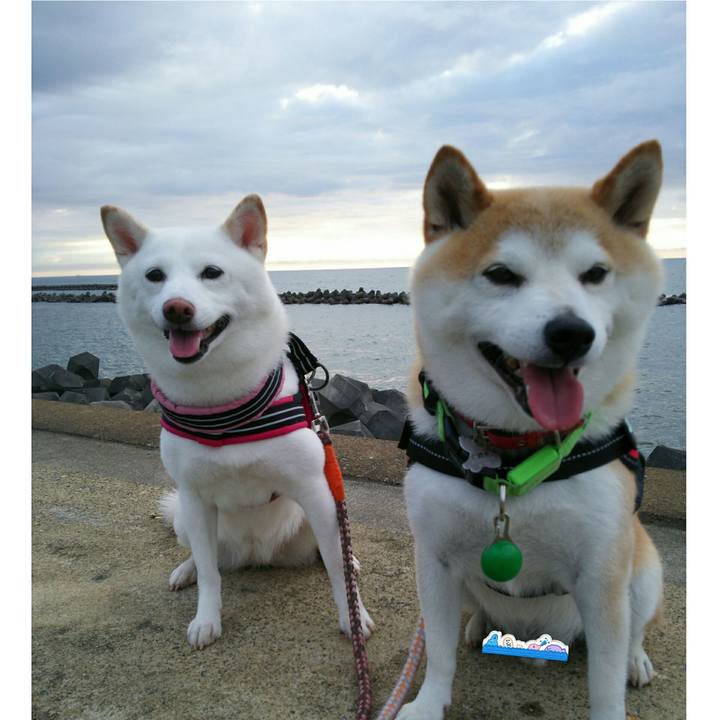 Fd940c21 e994 45dd af12 93d61a4ddcbe 1563186287046