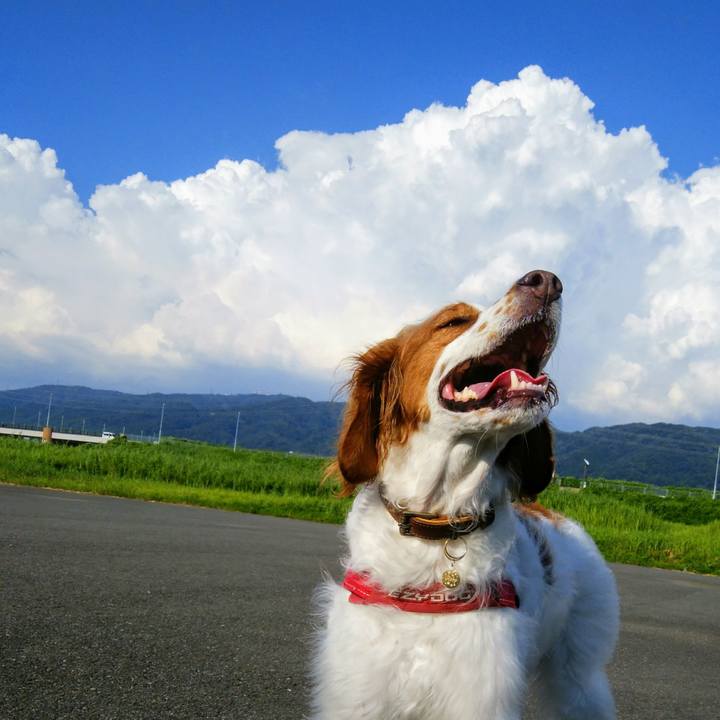 Fd941334 06bc 4060 bba2 a49e16889ecc 1564055390987