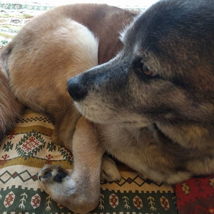 Fd941824 5be0 49f5 ba71 ff634c42c4be 1523159944401