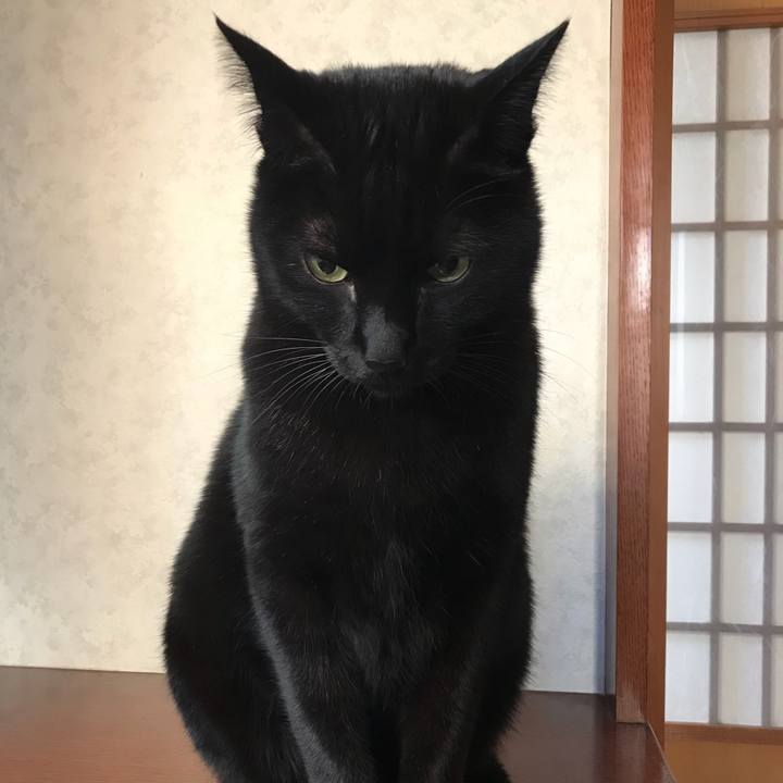 Fd94287e 9db8 4551 845a 40fd19e45d0f 1515894364545