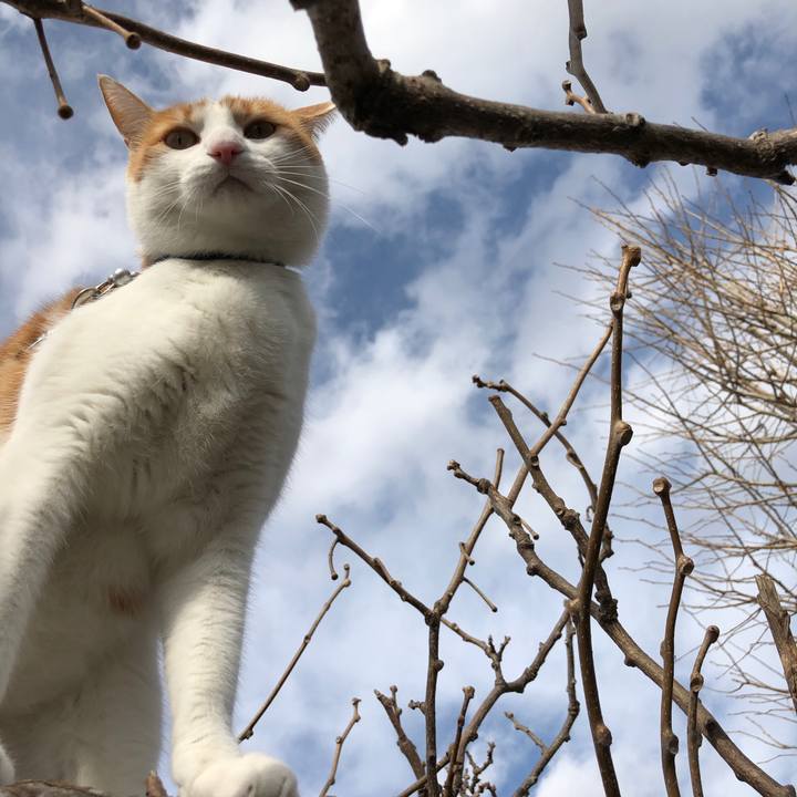 Fd9436b7 4868 43a6 89f6 116e930c1eab 1544175403358