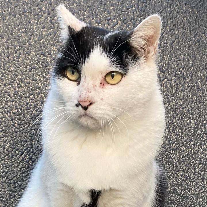 Fd9457a1 0bf3 4607 99c3 43f38f0e31cb 1763106452613