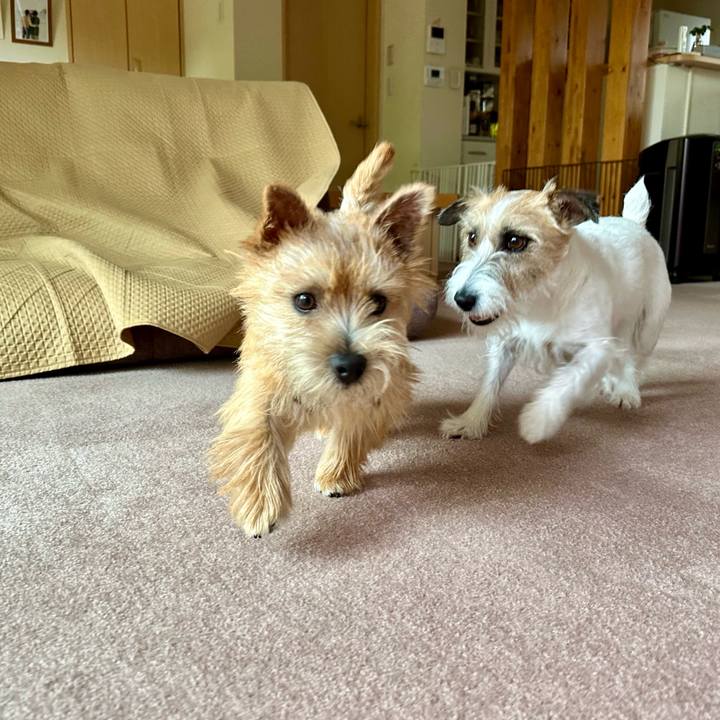 Fd945dc3 131f 495e 87f1 24e6b9443308 1717676372824