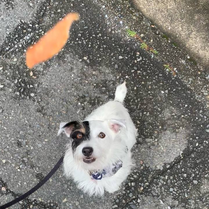 Fd94a166 007e 4acc bdd7 59e1d9e32b84 1663892938140