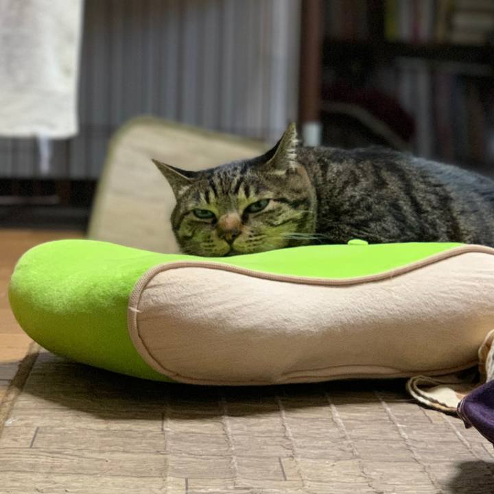 Fd94b591 200b 4dec 9e27 9e9c4ee5cef0 1615811291024