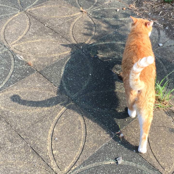 Fd9508b8 3f3c 478a a2e2 e57d16135dab 1566091374313