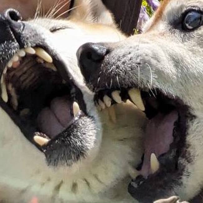 Fd951e13 e715 4aff bf87 d6421ef61da8 1714033976908