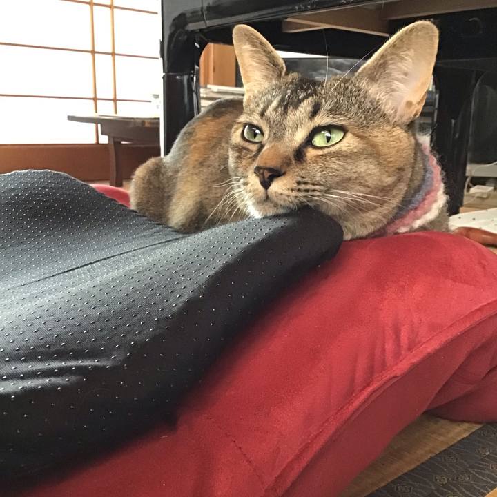 Fd952476 5fd2 44ff 869a 6dff7ed9a50e 1625018819808