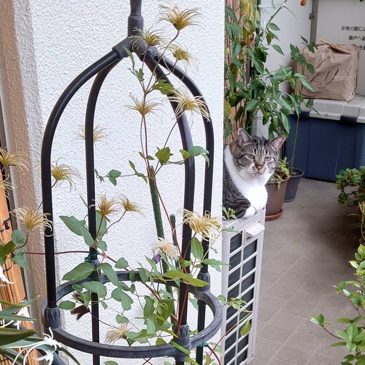 Fd95344c 1223 472c 81d6 3d9562d27323 1595121844437