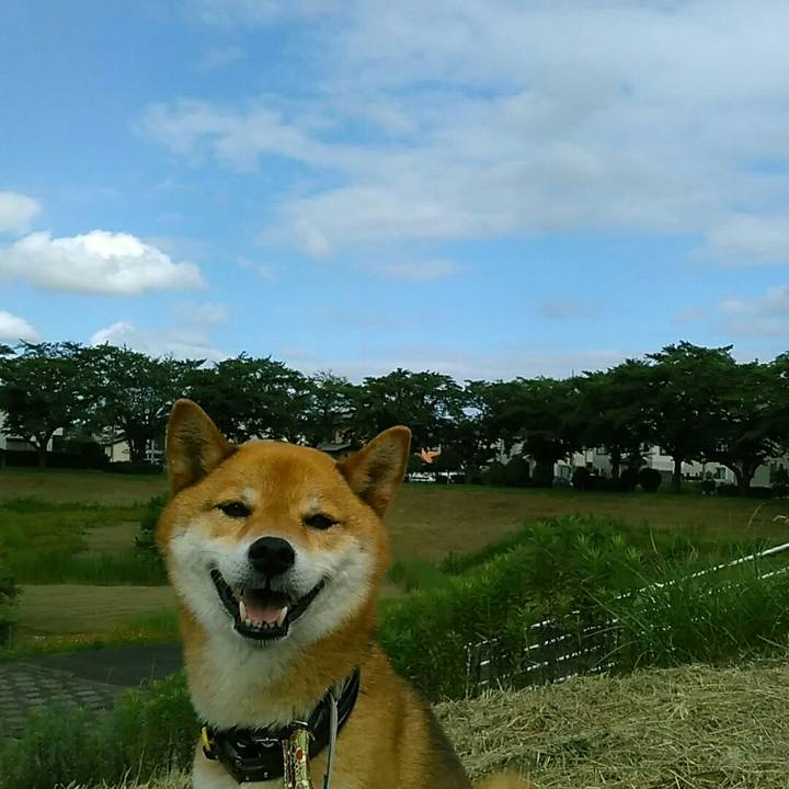 Fd957059 82b0 4393 9399 4730ff01be1c 1562743874978