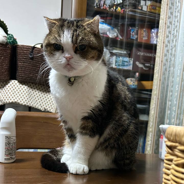 Fd95b32a ff5c 4234 8dbc 1b6398fffd02 1764370522390