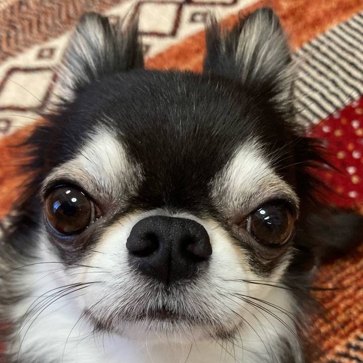 Fd95d7de c6dc 4ef8 863a 1b93518a9d4a 1679182457732