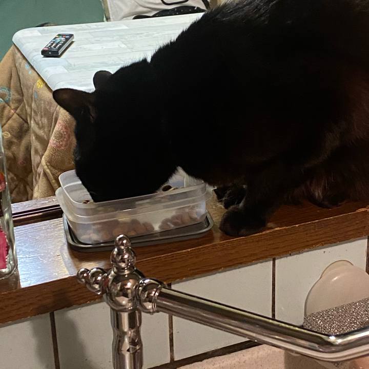 Fd95fe75 9e1f 4b85 9100 ce251401245b 1611756576894