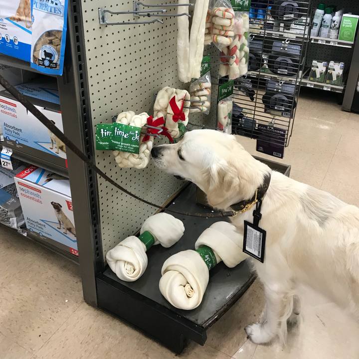 Fd962d34 79f1 48de baa3 4693994d55e7 1514028496527