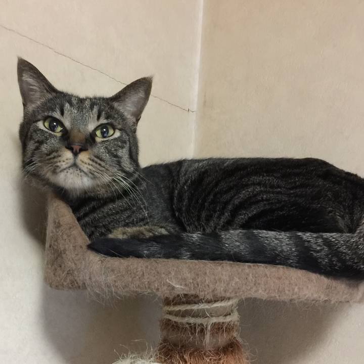 Fd9631b8 ddbb 4160 bfa5 926bf7becb5a 1529498508837