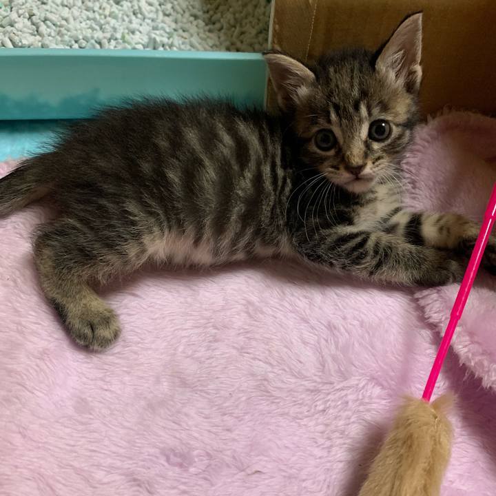 Fd963a4e 6a90 44dd bba3 59fee2f5b117 1564015751661