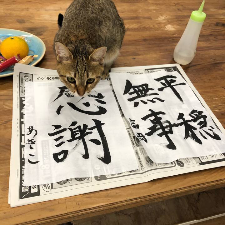 Fd968cca 73cf 488f bf72 1eb9520daaf2 1610424250008