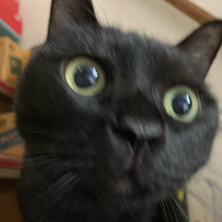 Fd96e676 f0e1 4507 8d9a 37d5ffadf116 1697868148807