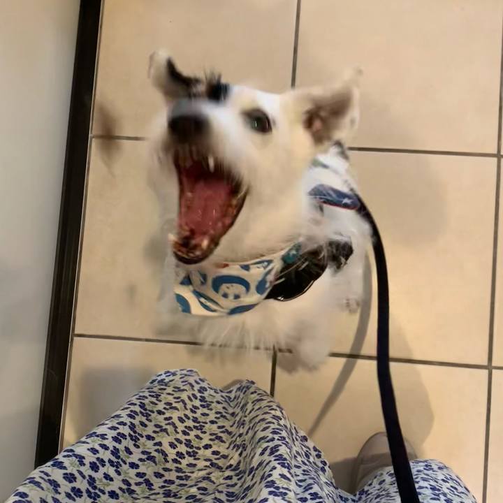 Fd973c76 5f49 4848 b7c6 3d6ddaadaeda 1754608535041