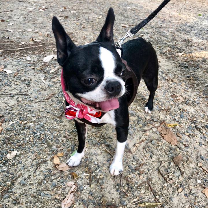 Fd978300 d838 4be1 8f39 43f4fad0afdf 1531911258995