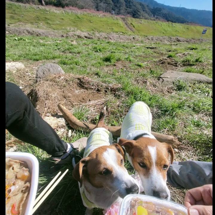 Fd978e49 3c46 46d9 a7b6 4b214314d440 1771664714712