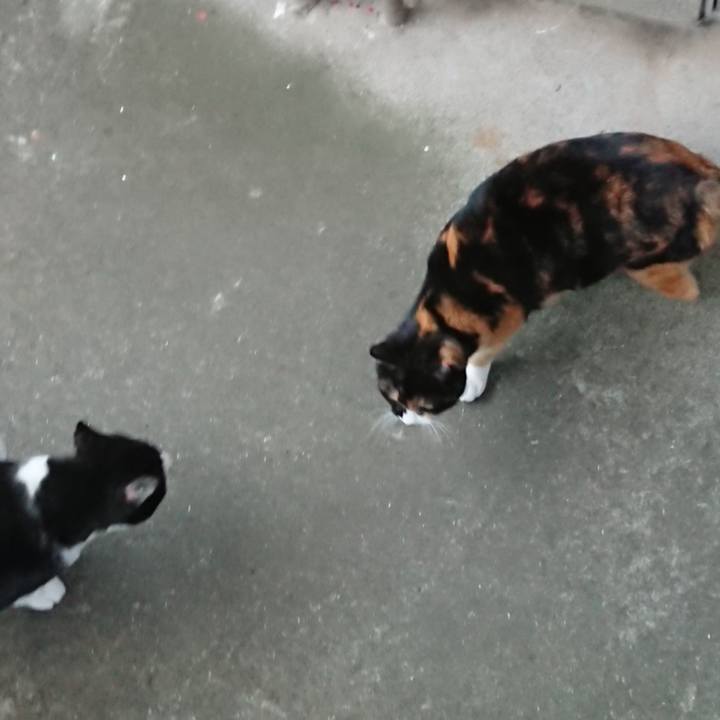 Fd97d3b9 8c6e 4667 9c7a 616b5a9461b7 1581306779223