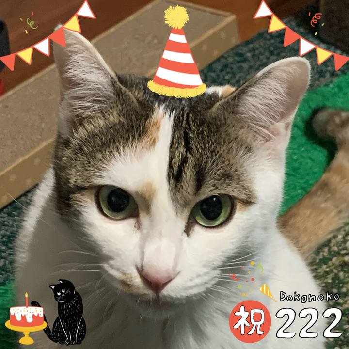 Fd97fe44 3da9 4ccb aac1 031aacf8065d 1645545382904