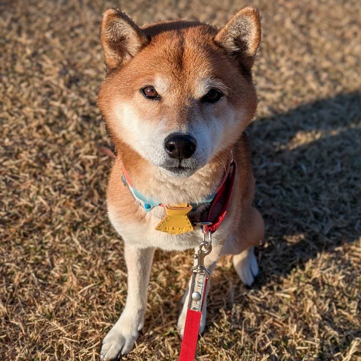 Fd980268 c7a6 458e b927 a5496e1165e5 1733709327861