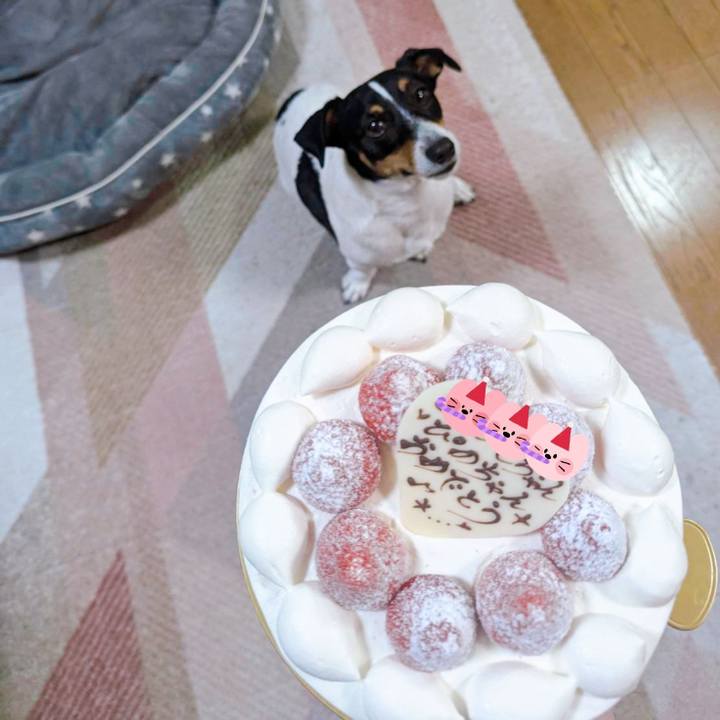 Fd980b0d 6b79 4d69 a301 2195b47e968f 1731298011152