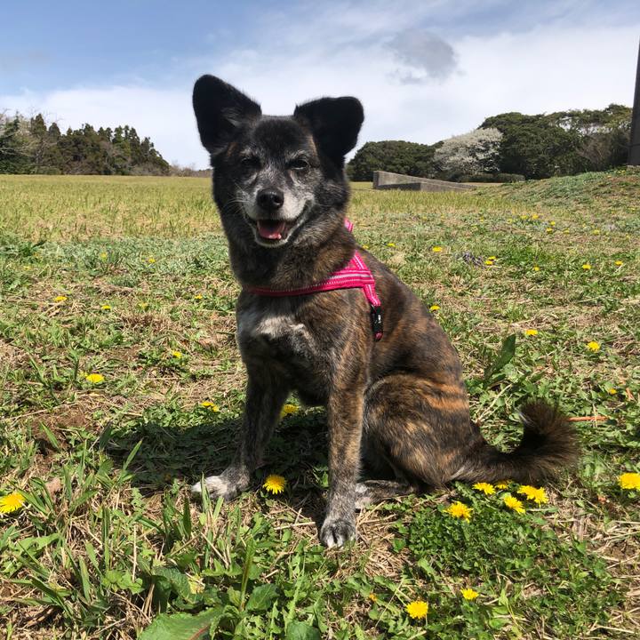 Fd98111b ff4d 48af 8a62 9d189ffd69a3 1648682801412