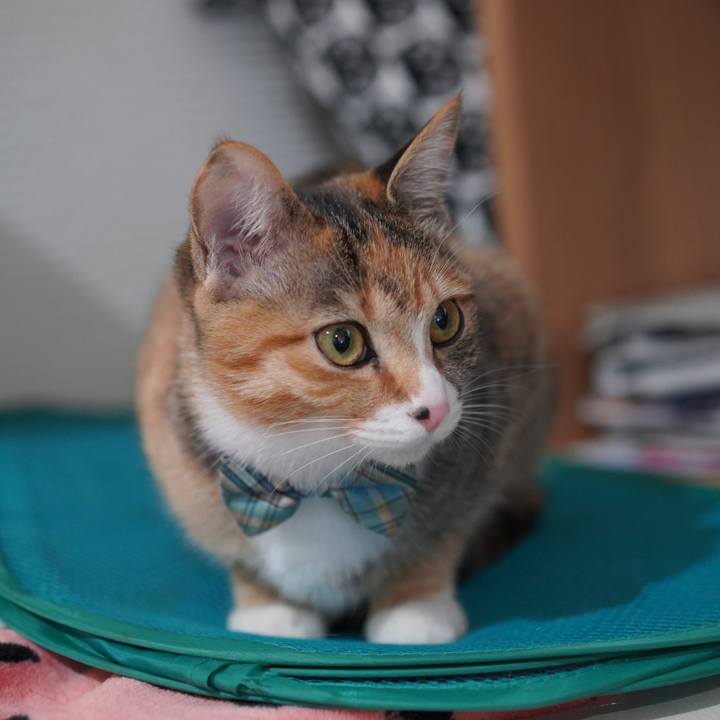 Fd982825 9e55 4cf4 bd22 f649f7e938bb 1581650318074