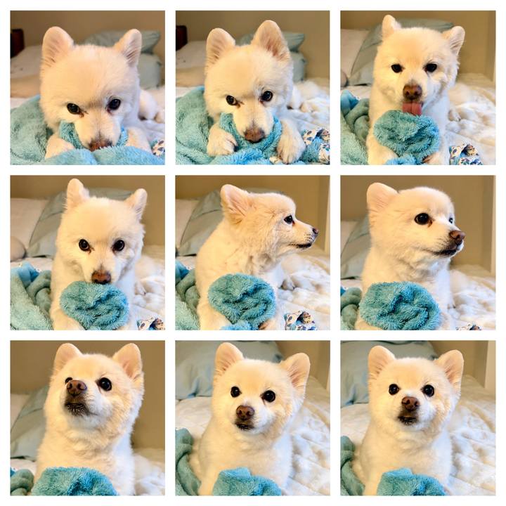 Fd98539b aec1 40ff 9c2a 910109aefca0 1767355803750