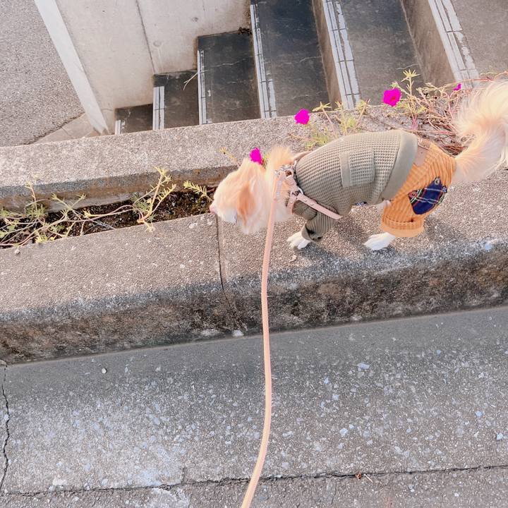 Fd985c6d a159 4cb8 94c3 740ef0b604c5 1666345778693