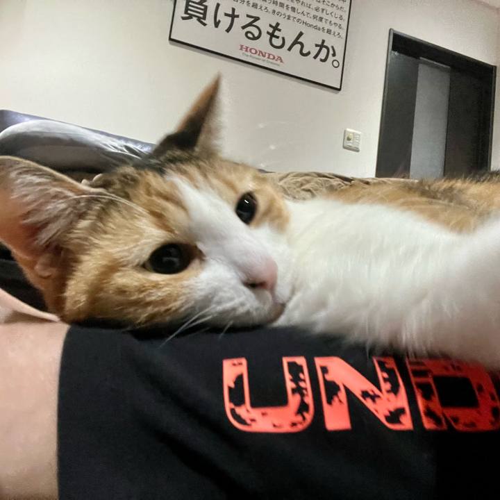 Fd989200 7467 4d6f 83a9 a301860508c1 1771645172037