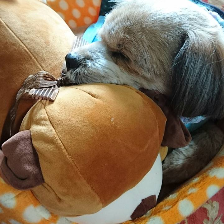 Fd98cc30 e2fe 472a afa8 93c106a5c36d 1518738724347