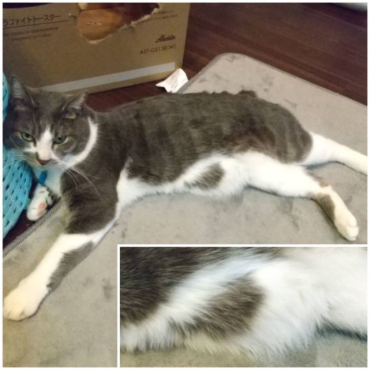 Fd98e435 87d4 4a23 9a47 69bb7a8e4fc5 1648815071719