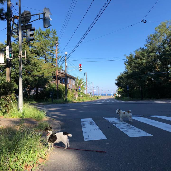 Fd98e5e3 5a91 492c 90a0 46bb2c646935 1567896878381