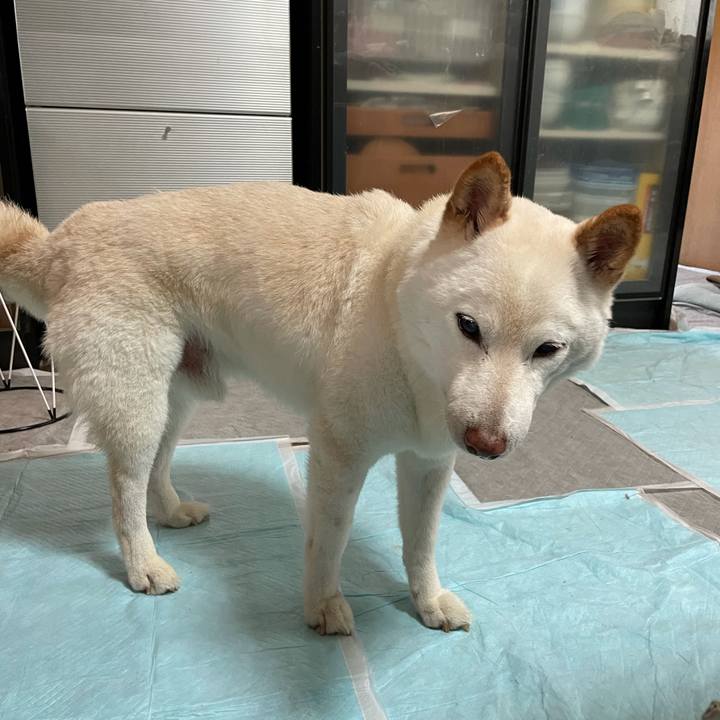 Fd98f16c 930c 4cf5 bba4 5b48d7f8a9d1 1634180995194