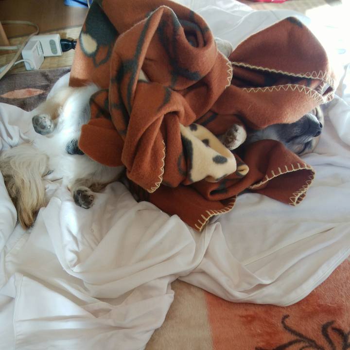 Fd98fd55 256a 4fd7 8b84 2d26d711028f 1514181850532