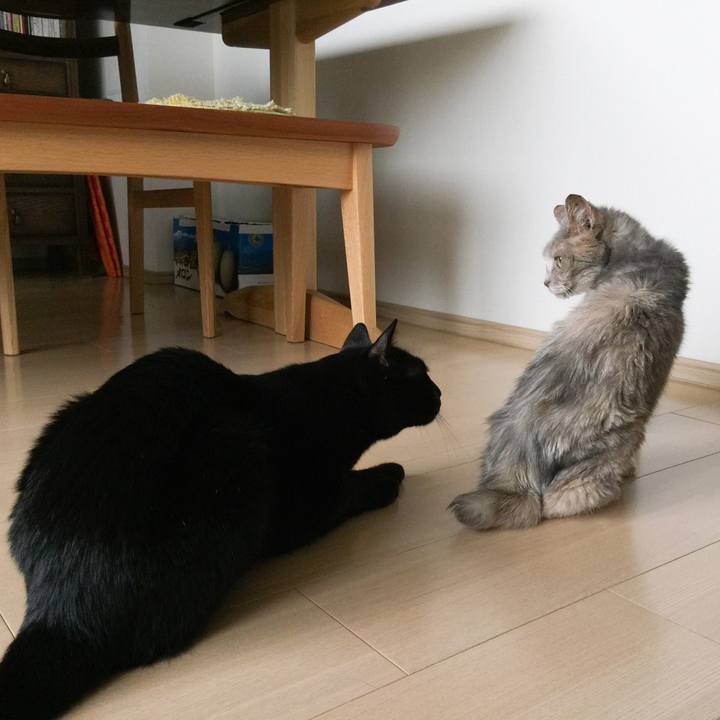 Fd99067d 6352 4056 8a93 7618094c18e7 1530941661601