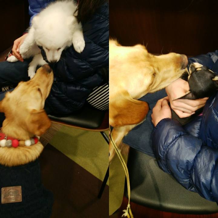 Fd992ec0 8ec7 4515 9a5b 6a104208b806 1518562448828