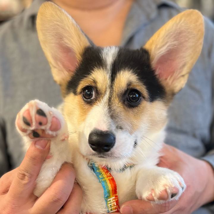 Fd996d4a 97d4 4ac9 86a7 52bd92f9e947 1771849740147