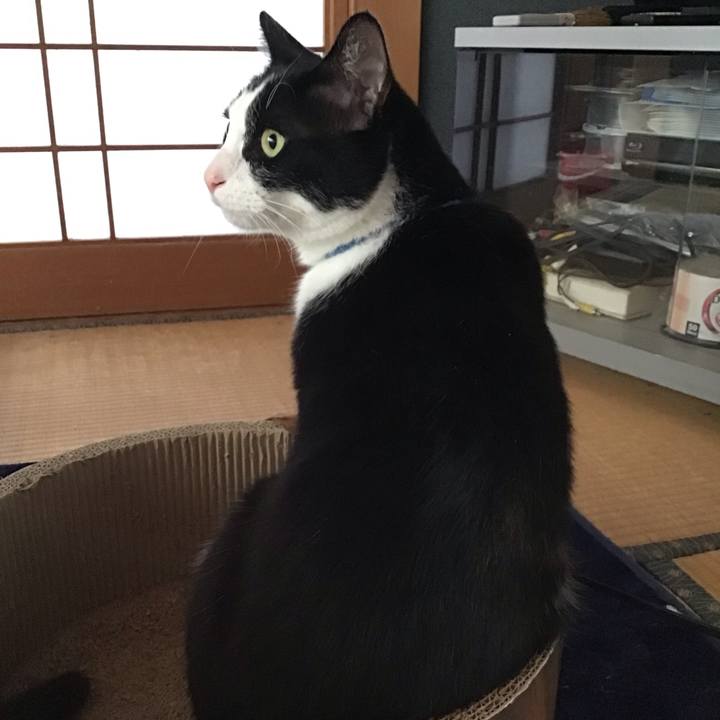 Fd99b185 6ada 43d3 85f0 b4a95cfe712e 1713685197225