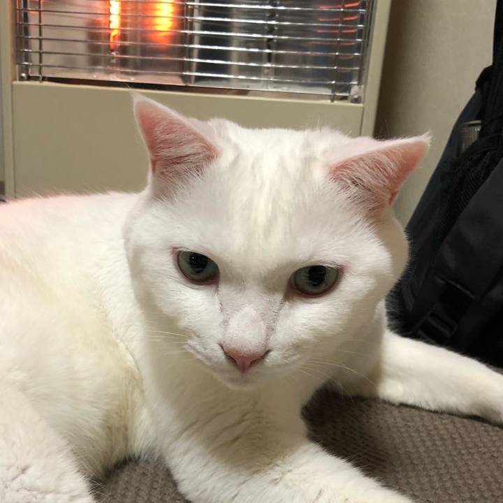 Fd99e299 6d38 468d b103 85fc9b535abd 1634557707384