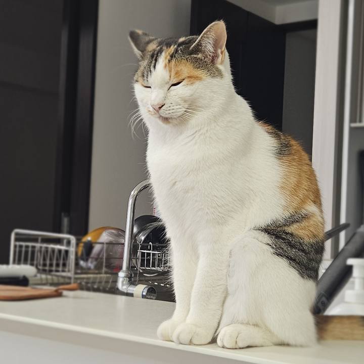 Fd99e756 ba67 4228 b558 6ddbb04c603f 1764375764518