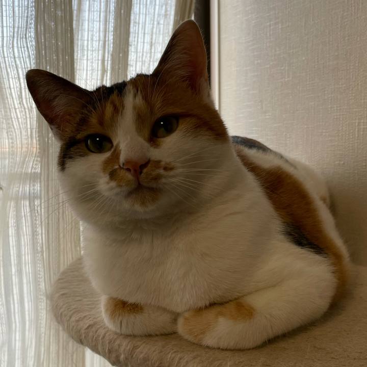 Fd99e9b5 9f6d 49bf a894 90a07a2f9bf5 1607643490466