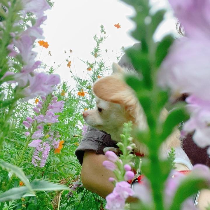 Fd9a13bf 6d07 446a b37b ef3f529edd0e 1631451440031