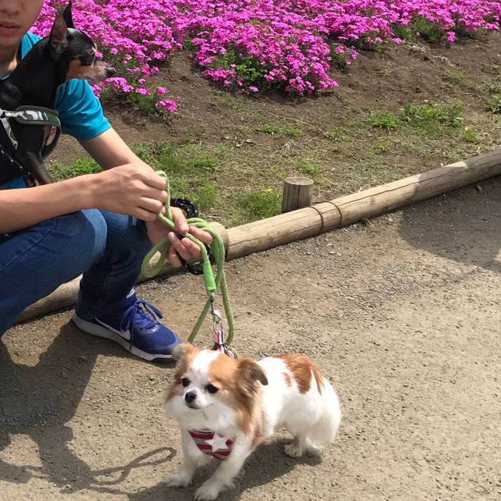 Fd9a388a dd95 4a68 99b7 80872166e64e 1525416814861